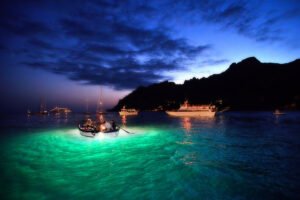 la notte delle lampare 2024 a cetara